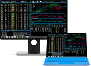 NetVay trading server rental