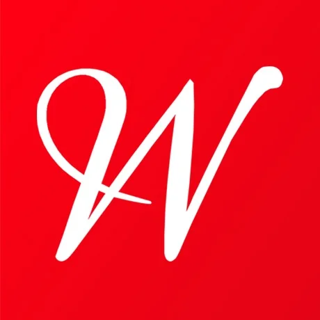 Webailesi IT Services logo